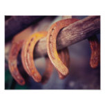Horseshoes on Barn Wood Cowboy Country Western Photo