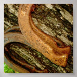 Horseshoes posters