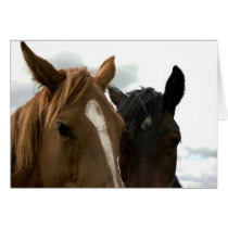horsey love card