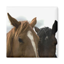 horsey love magnet