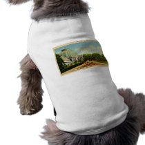 Horticultural Building, Belle Isle Park, Michigan Dog T-shirt