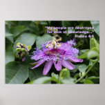 Hosea 4:6 Scripture Poster posters