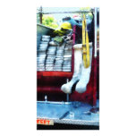 Hoses in Fire Truck photo cards