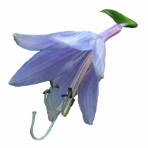 Hosta flower ~ acrylic cut outs