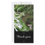 Hosta in a Zen Garden photo cards