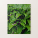 Hosta Leaves and Pink Petals Puzzle