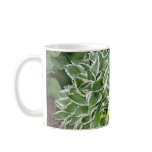 hosta mug