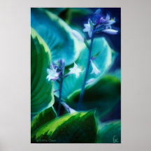 Hostas in Bloom Print