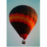 hot air balloon photo sculptures