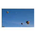 Hot Air Balloons