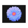 Hot and Cold Marigold Postcard