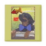 HOT BONE magnets