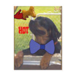 HOT BONE POSTCARD