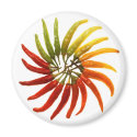 Hot Chilli Peppers magnets