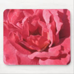 Hot Cocoa Rose MG_0829 Mousepads