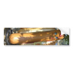 Hot Dog bumper stickers