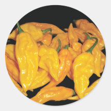 Hot Fatalii Chilli Pepper Stickers