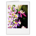 Hot magnolia cards
