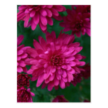 Hot Mum! Post Cards