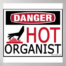 Hot Organist Print