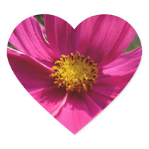 Hot Pink Cosmos Photo Heart Stickers
