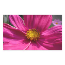 Hot Pink Cosmos Photo Rectangular Sticker