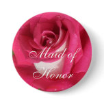 Hot Pink Cream Rose