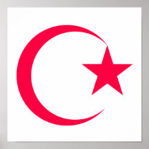 Hot Pink  Crescent & Star.png Print