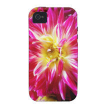 hot pink dahlia iPhone 4 Vibe case iPhone 4 Cases