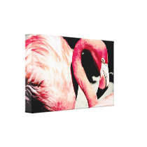 Hot pink Flamingo Gallery Wrap Canvas