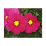 Hot pink flower postcard