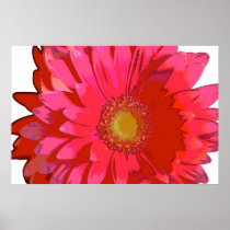 Hot Pink Gerbera Daisy Canvas Poster