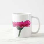 Hot Pink Gerbera Daisy Coffee Mugs
