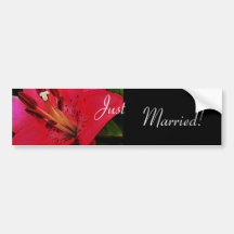 Hot Pink Lily Wedding Bumper Sticker