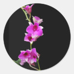 hot pink orchids stickers