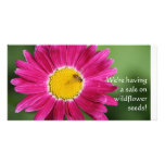 Hot Pink Painted Daisy photo cards