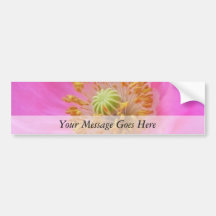 Hot Pink Poppy Flower Bumper Stickers