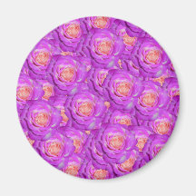 Hot pink roses magnets