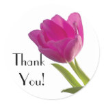 Hot Pink Tulip, Thank You!