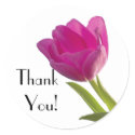 Hot Pink Tulip, Thank You! stickers
