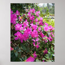 Hot Pinking Poster