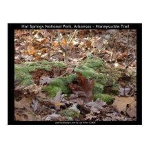 Hot Springs National Park, AR - Honeysuckle Trail Postcards