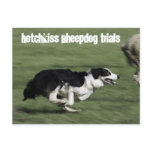 Hotchkiss Sheepdog Trials Postcard