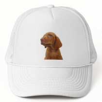 Hound Baseball Cap Hat