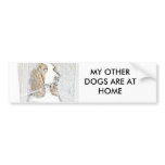 HOUND DOG bumper stickers