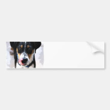Hound Dog Photo Bumper Stickers