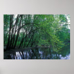 Housatonic River Bartholomews Cobble posters