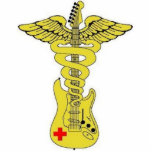 House Call guitar caduceus photo sculptures