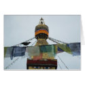 House Crow at Prayers Bodha Stupa, Nepal cards