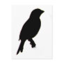 House Finch silhouette Postcard